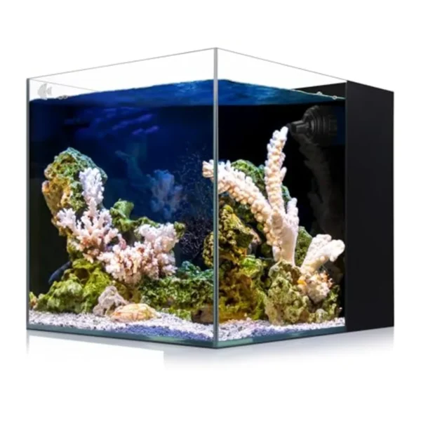 8-Gallon Saltwater Aquarium