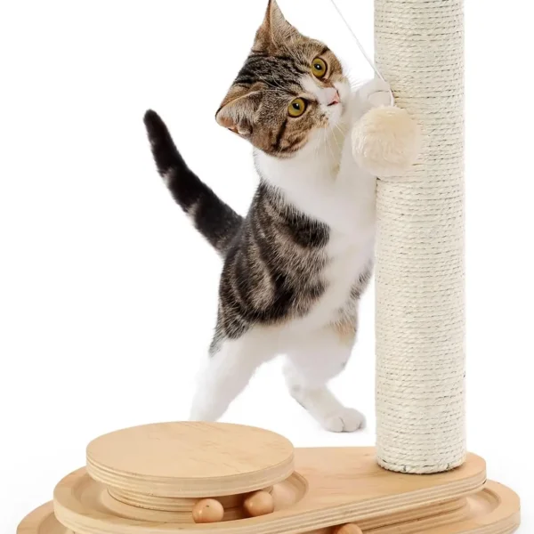 Modern Sisal Cat Scratching Post